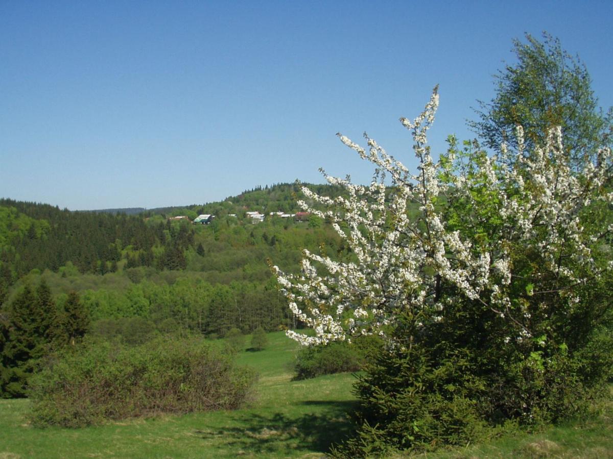 Penzion Na Slunicku Marianska Экстерьер фото